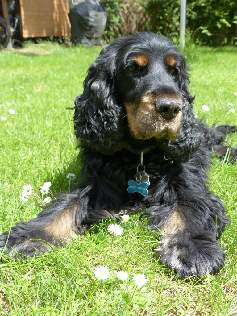 Condolence image of Susanne 