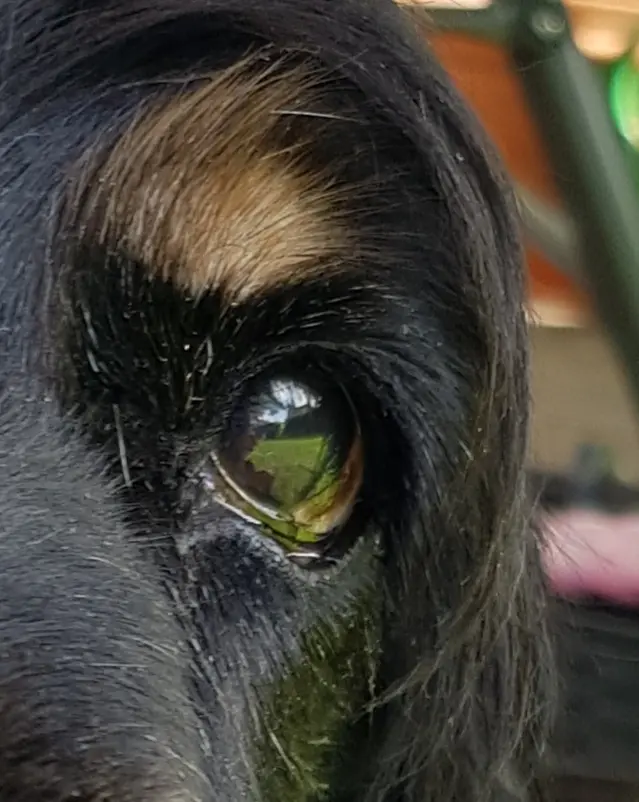 Condolence image of Unbekannt