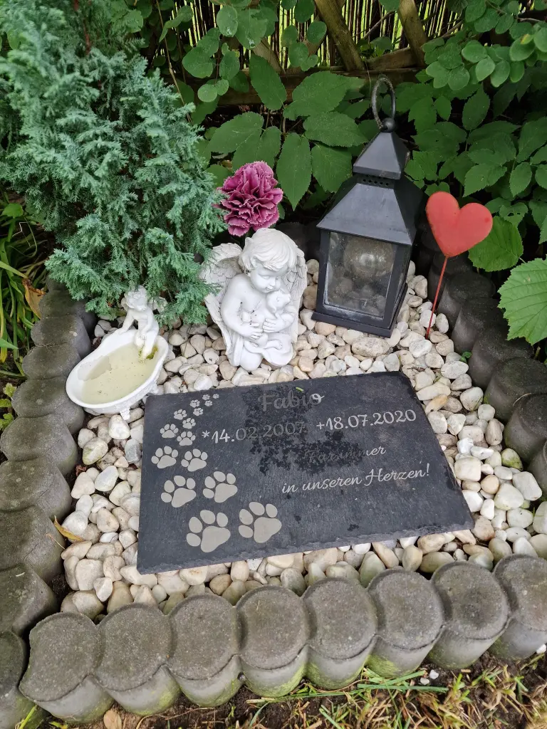 Condolence image of Susanne 