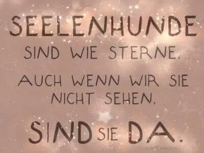 Condolence image of Sabine mit Luna im Herzen