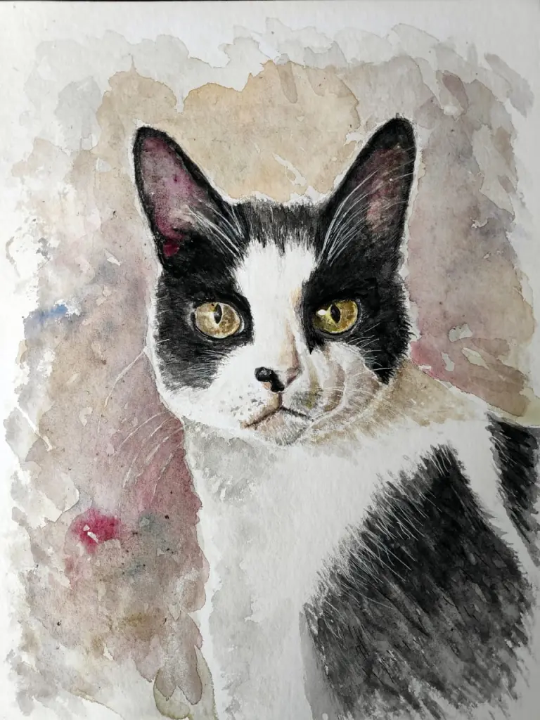 Image from Kater Karlo