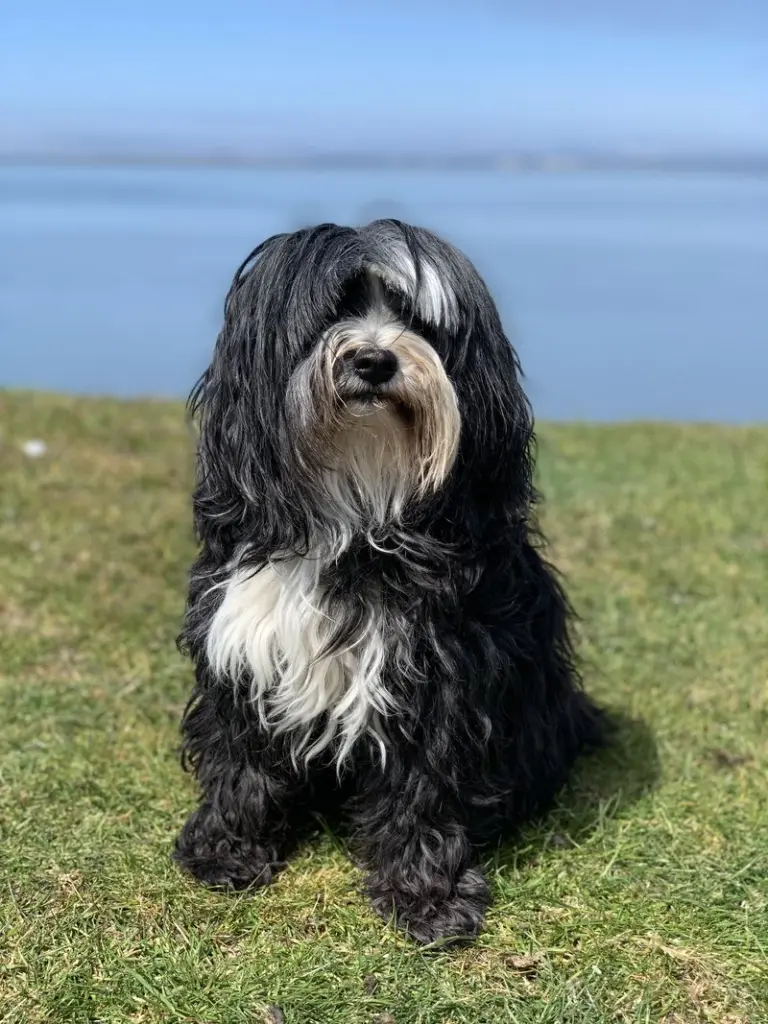 Condolence image of Isabell