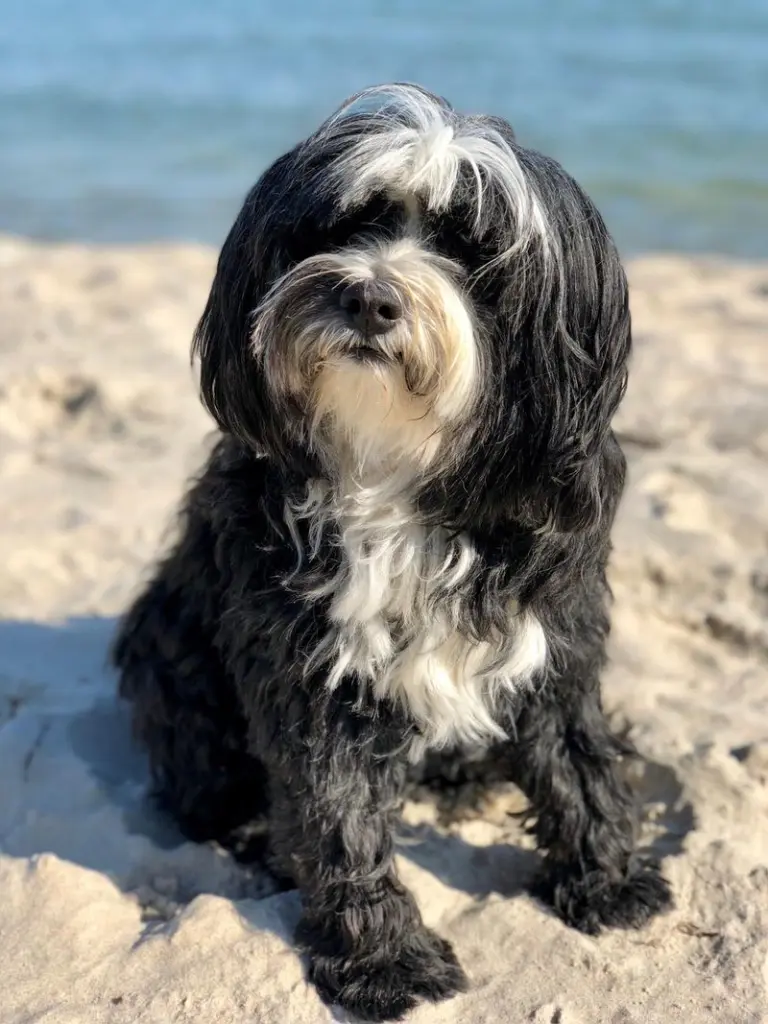 Condolence image of Isabell