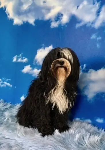 Condolence image of Isabell