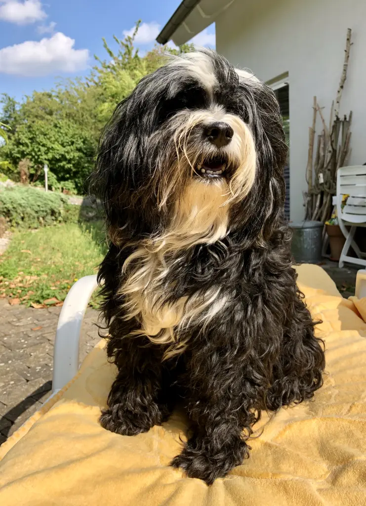 Condolence image of Isabell