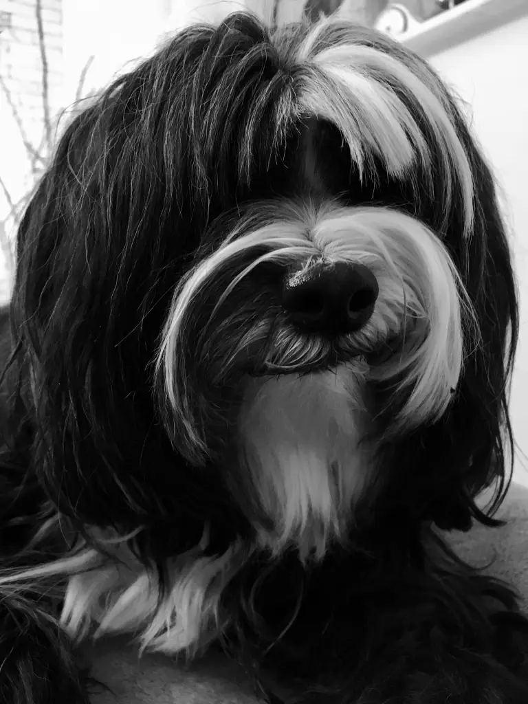 Condolence image of Isabell ♥