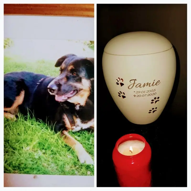Condolence image of Karin Wartenberg