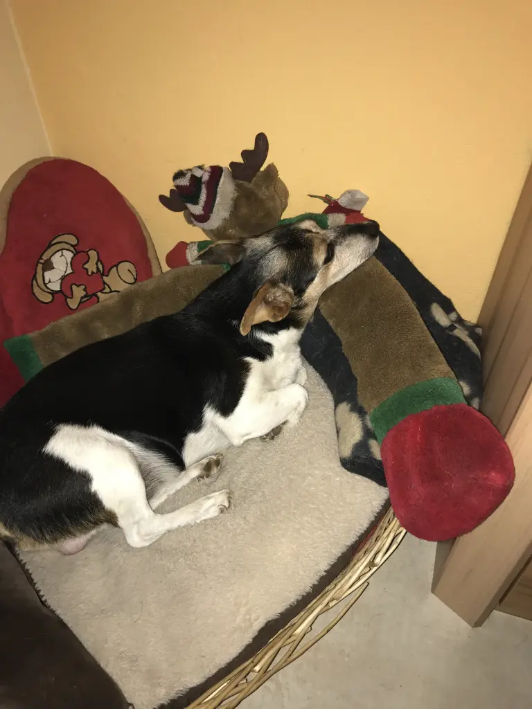 Image from Sammy
