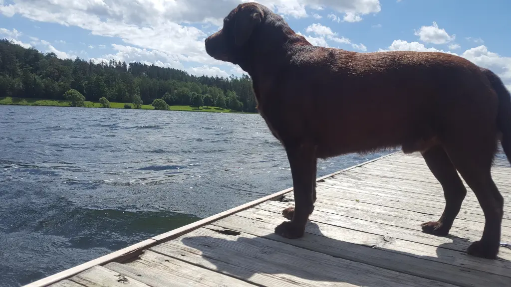 Condolence image of Jessica