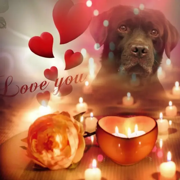 Condolence image of Gute Nacht❤️❤️❤️❤️❤️Liebe Sammy❤️