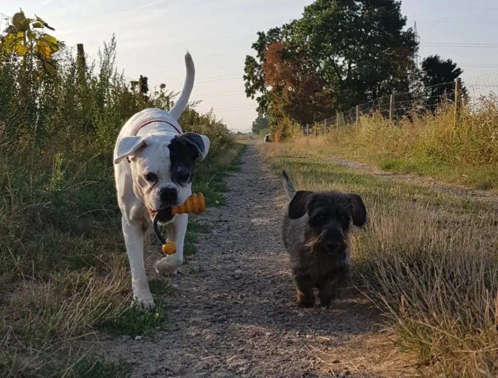 Image from Fenja