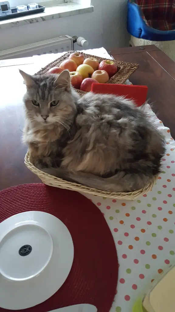 Condolence image of Barbara
