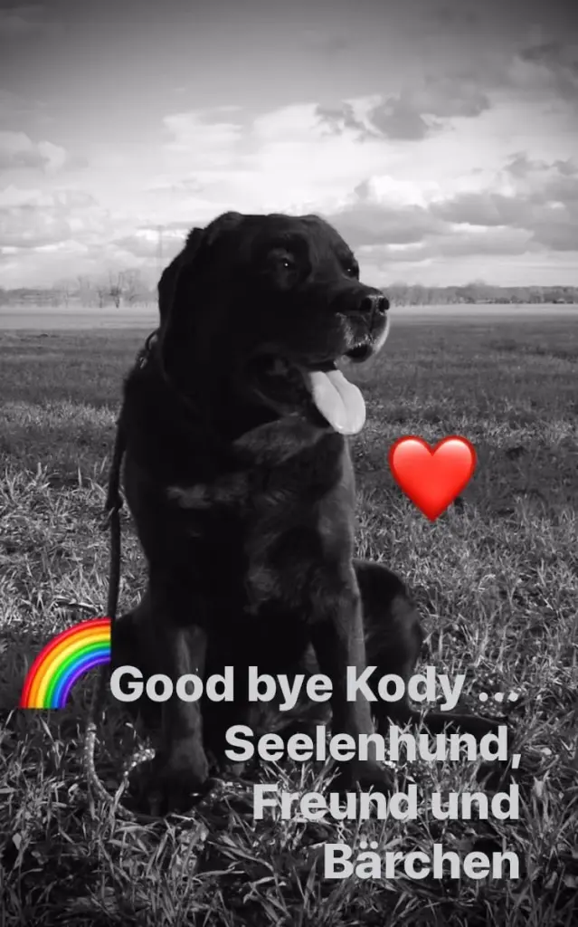 Image from Kody