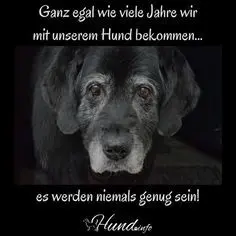 Condolence image of Sven