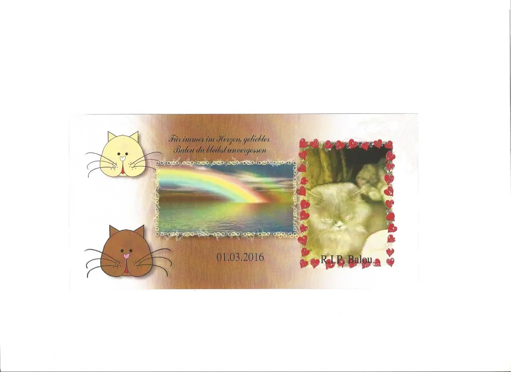 Image from Balou