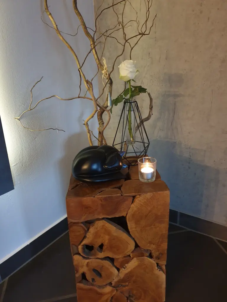 Image from Simba