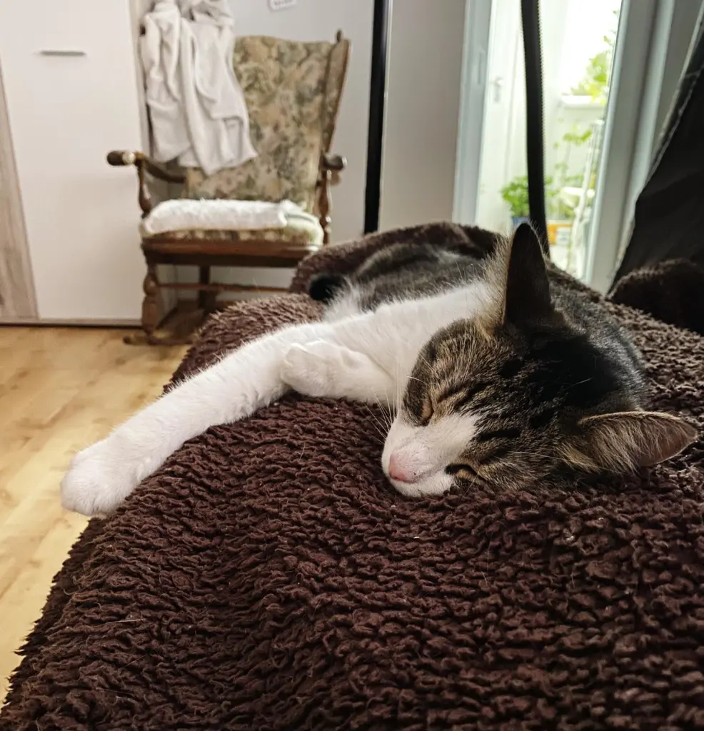 Image from June