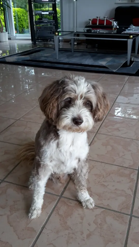 Condolence image of Bettina