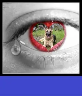 Condolence image of ❤️❤️❤️