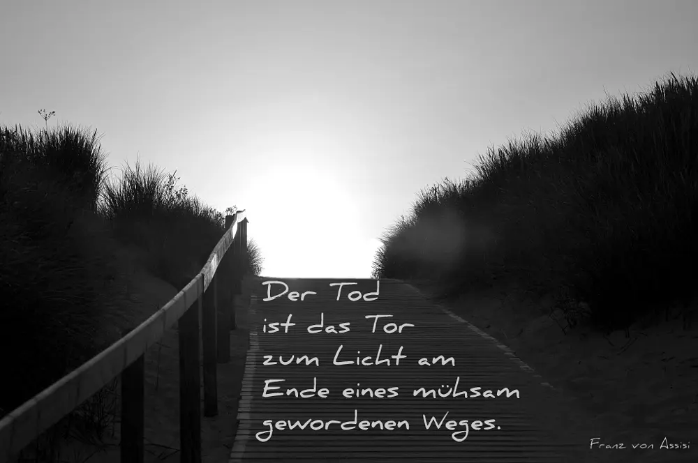 Condolence image of Tanja Pfaffenbach