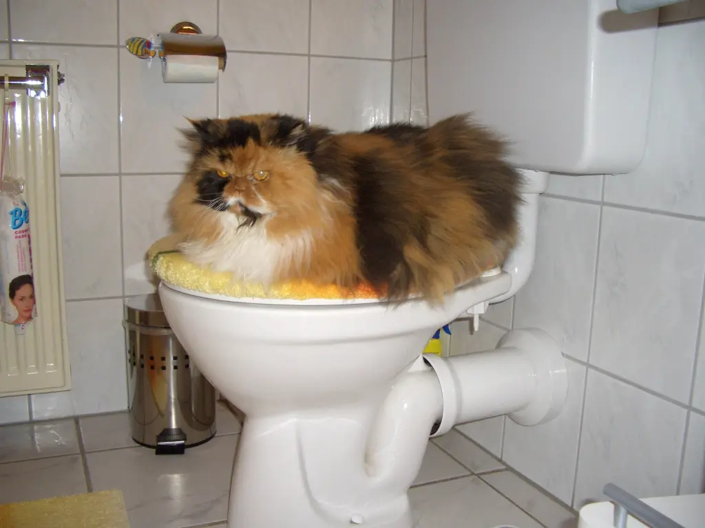 Condolence image of Monika Borrmann