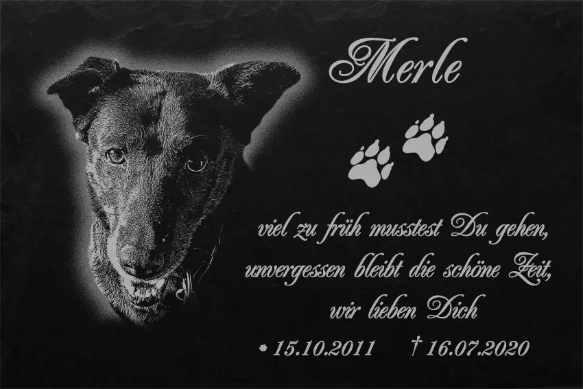 Image from Merle