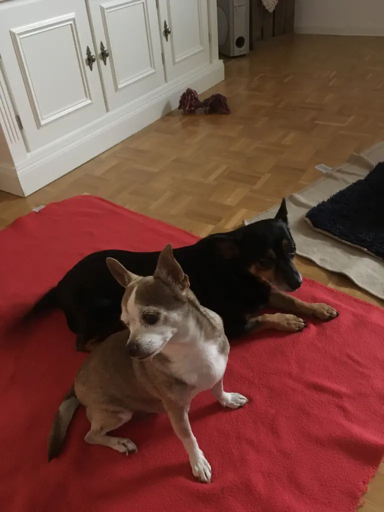 Image from Foster