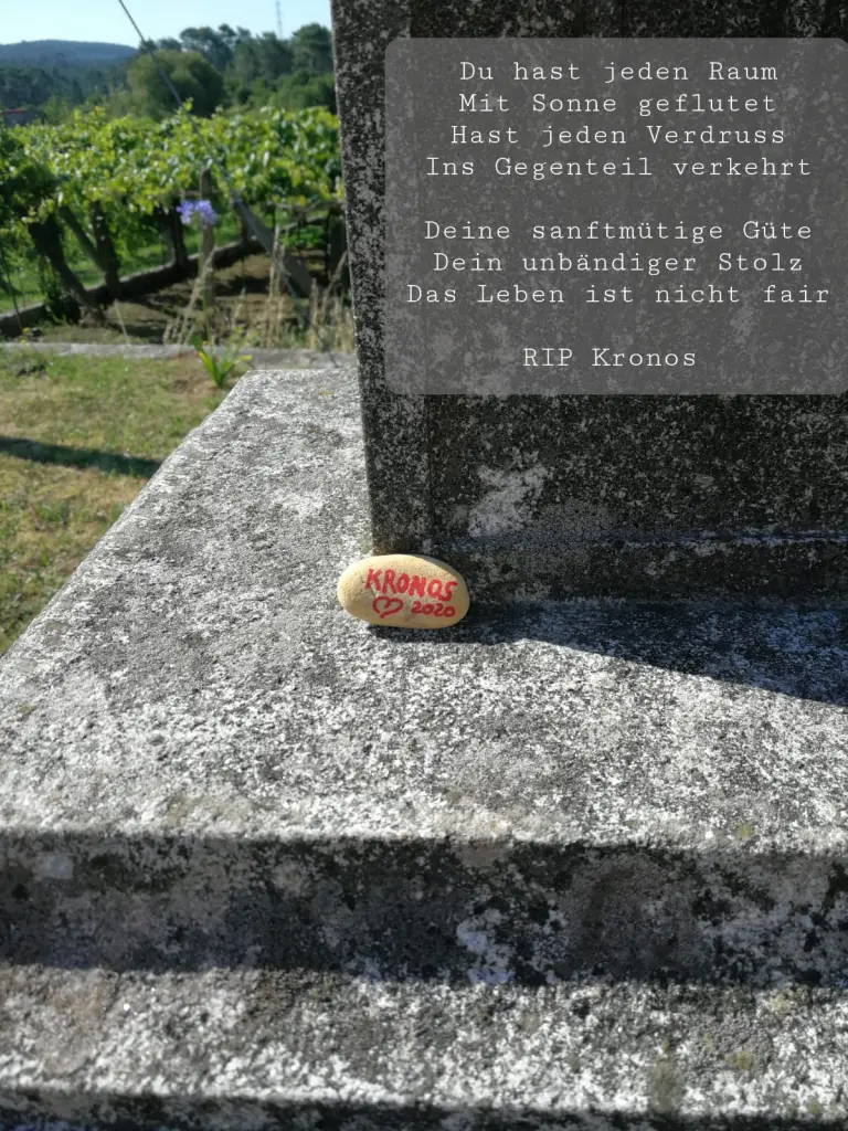 Image from Kronos