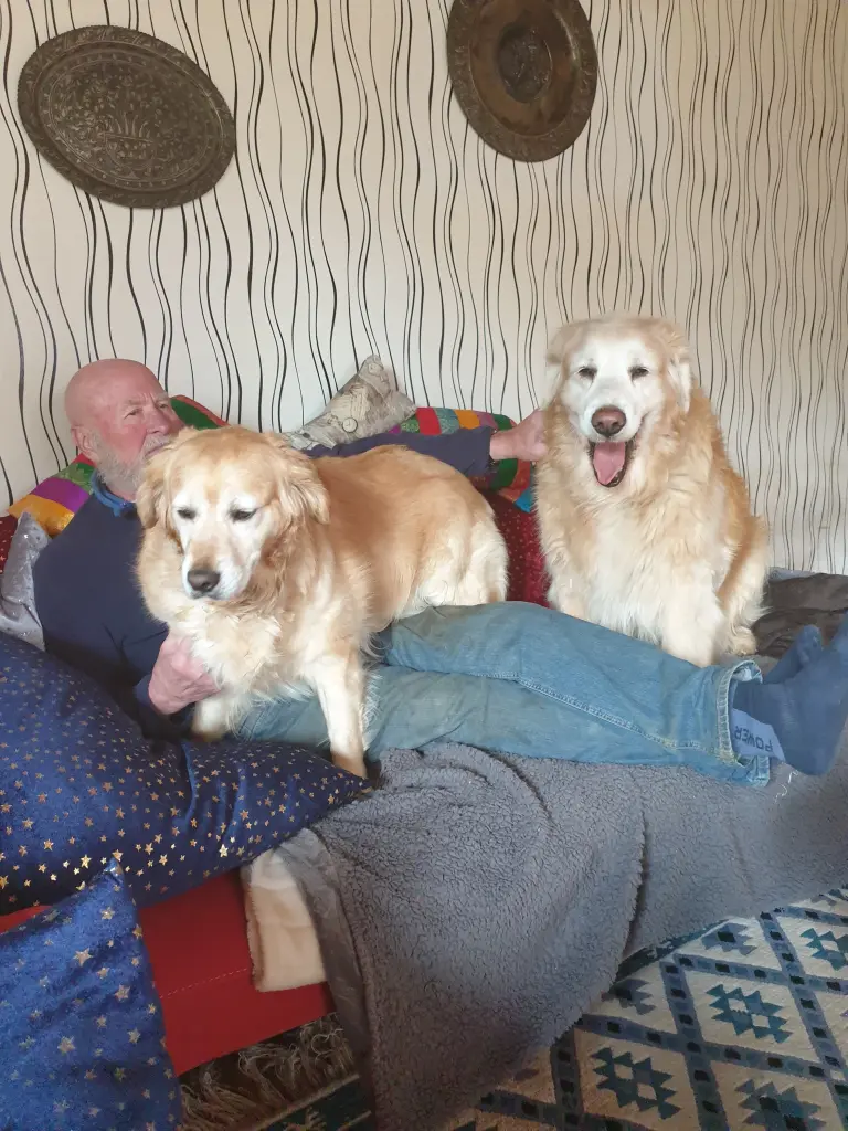 Image from Bobo