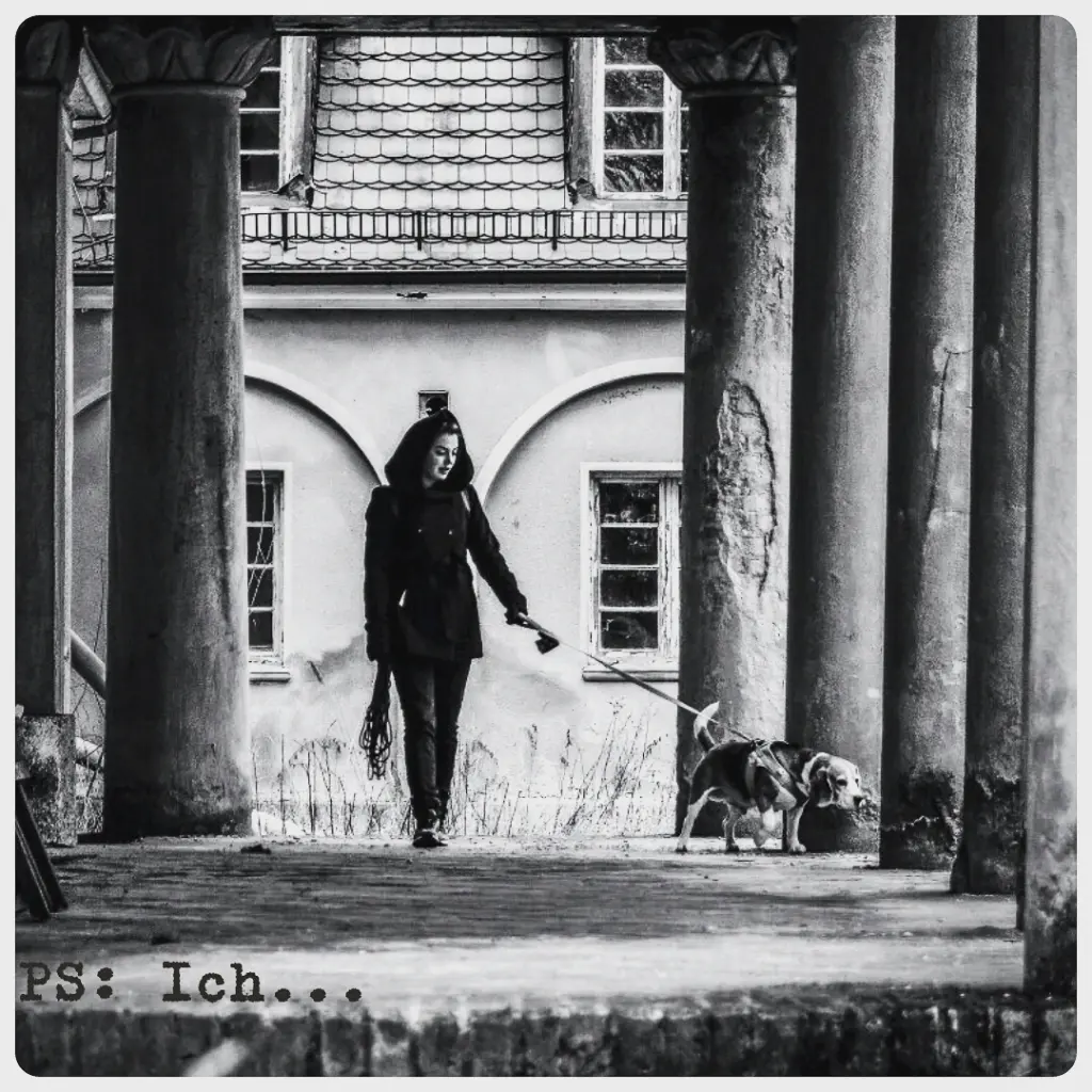 Image from Odin