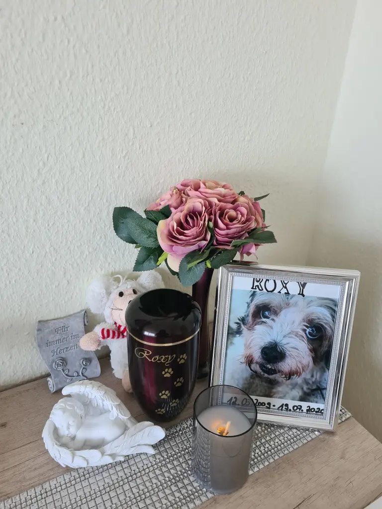 Image from Roxy