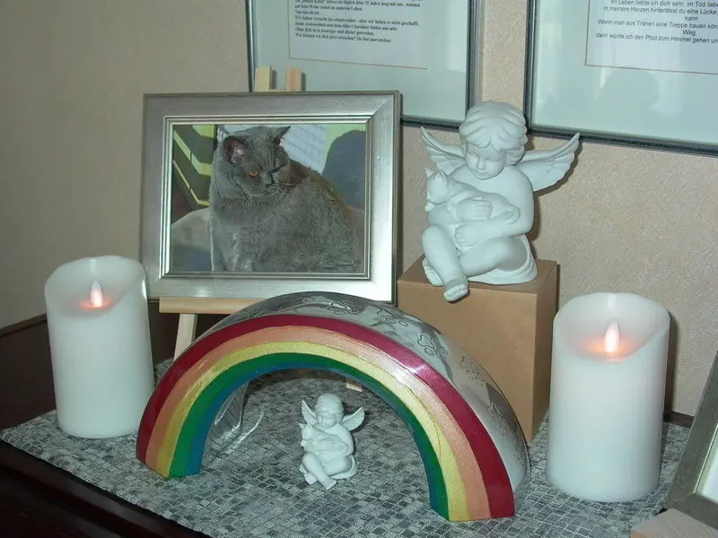 Andachtsbild von Hans u. Sibylle mit Momo † 13.11.2017