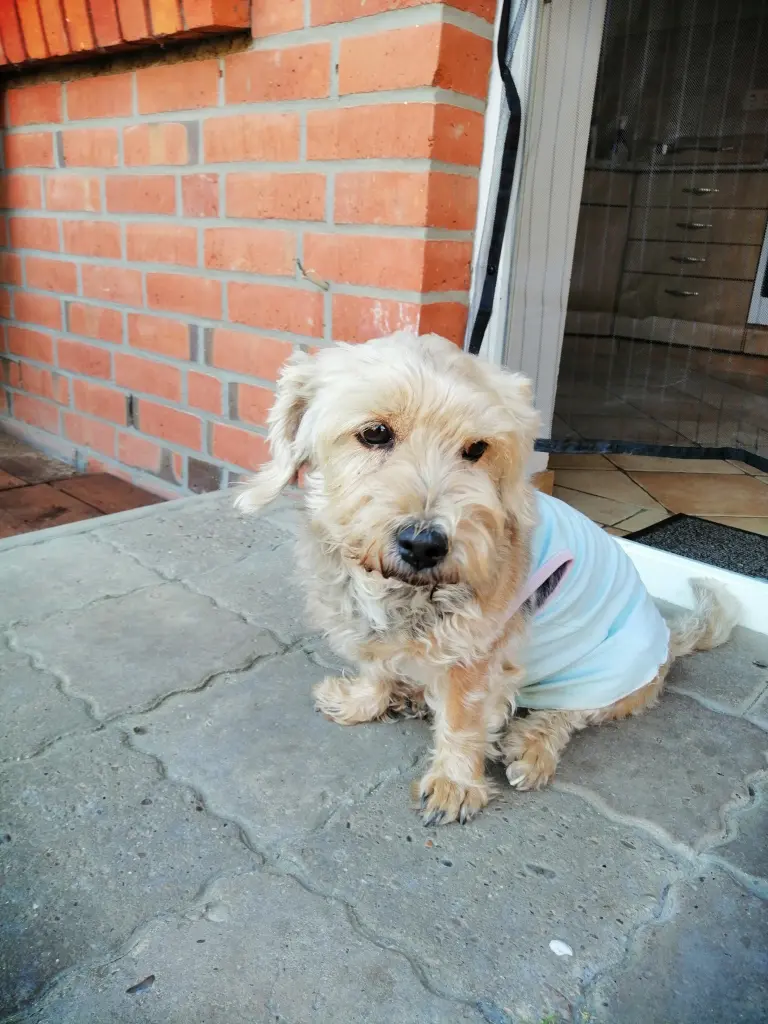 Condolence image of Sebastian