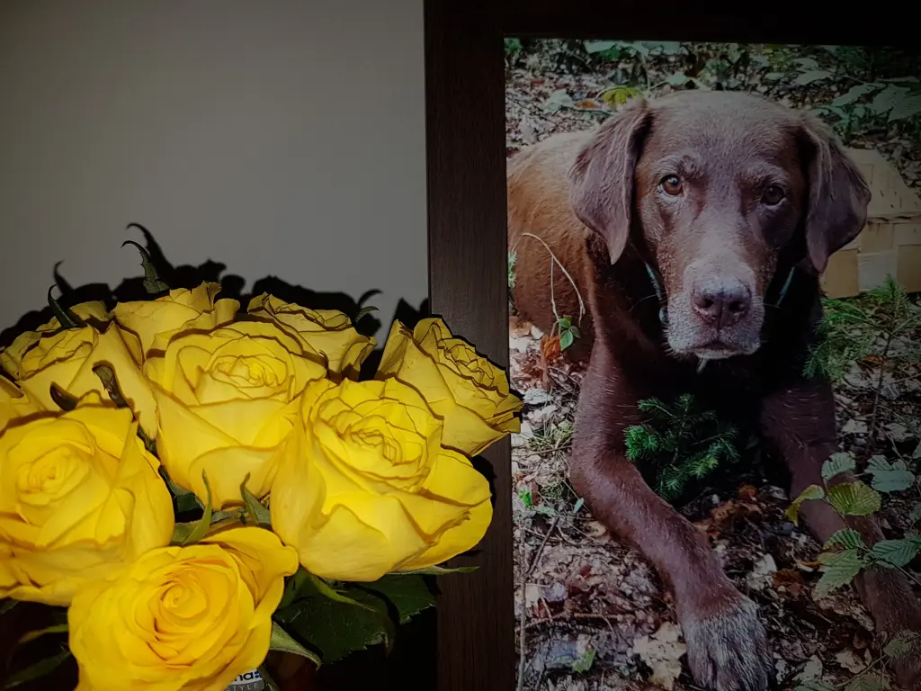 Condolence image of Silvana