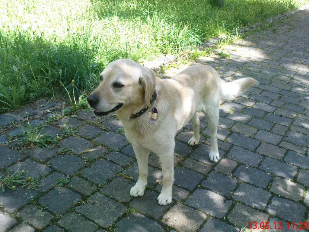 Condolence image of Claudia 