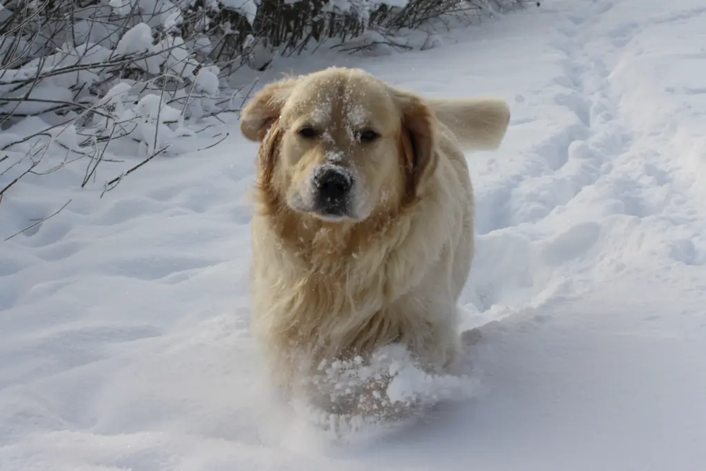 Image from Barney
