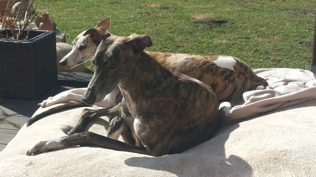 Andachtsbild von Melanie  Brandt