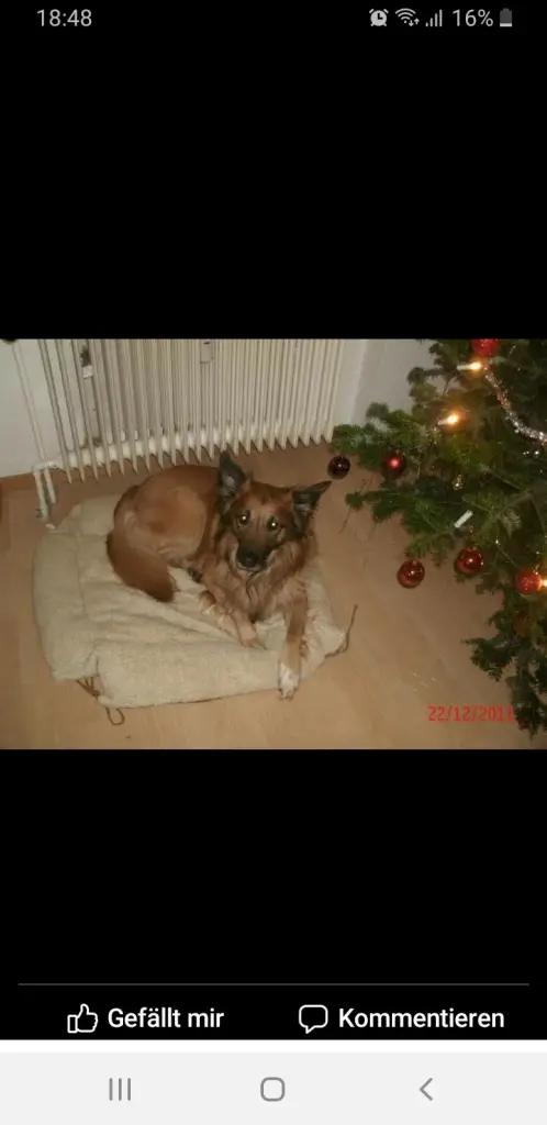 Condolence image of Sandra