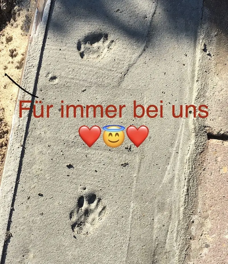 Condolence image of Jutta mit Gismo im Herzen ♥️