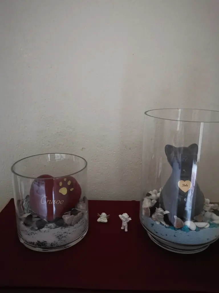 Image from Crusoe