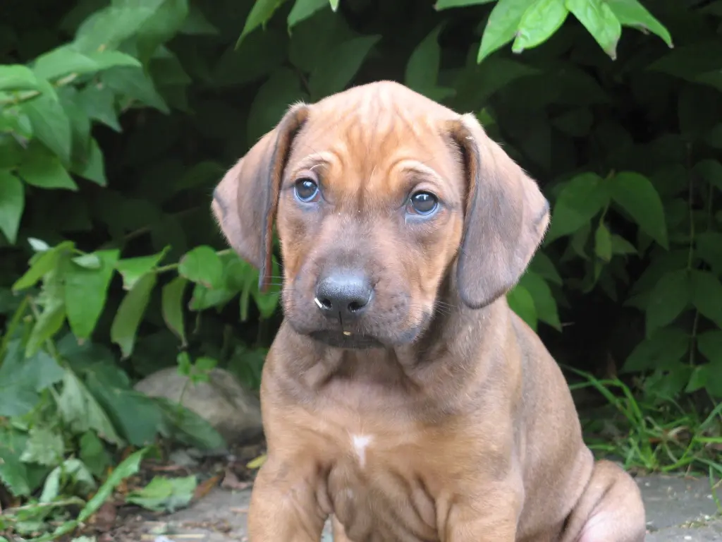 Condolence image of Andrea Auer