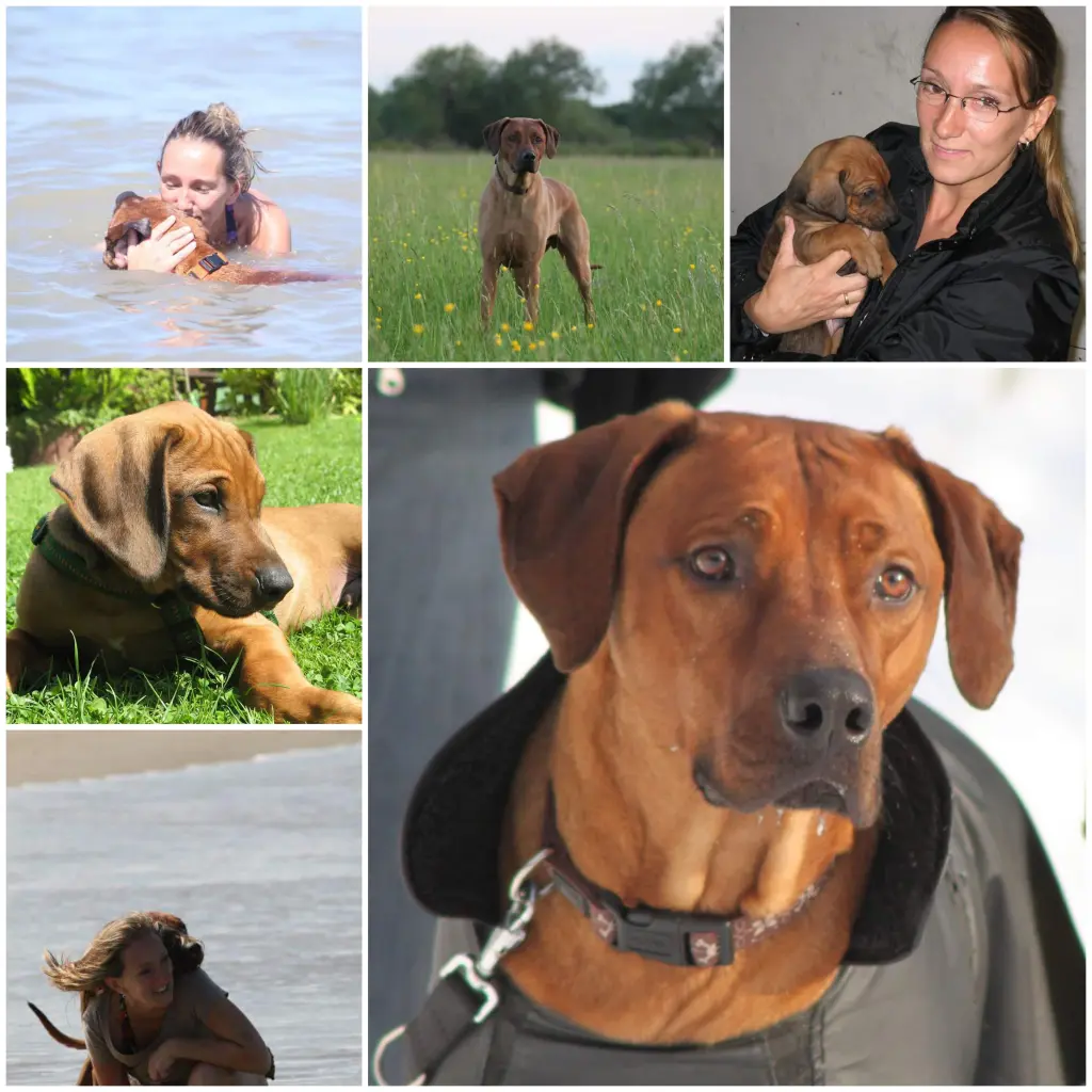 Condolence image of Andrea Auer