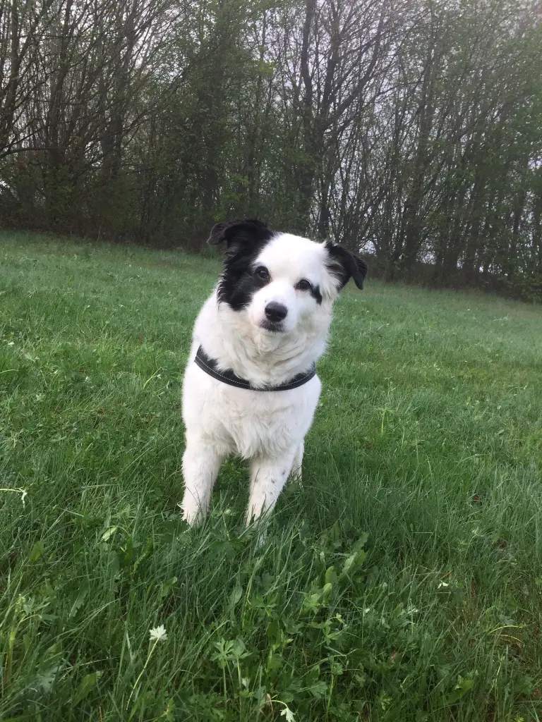 Condolence image of Für Paul ❤️