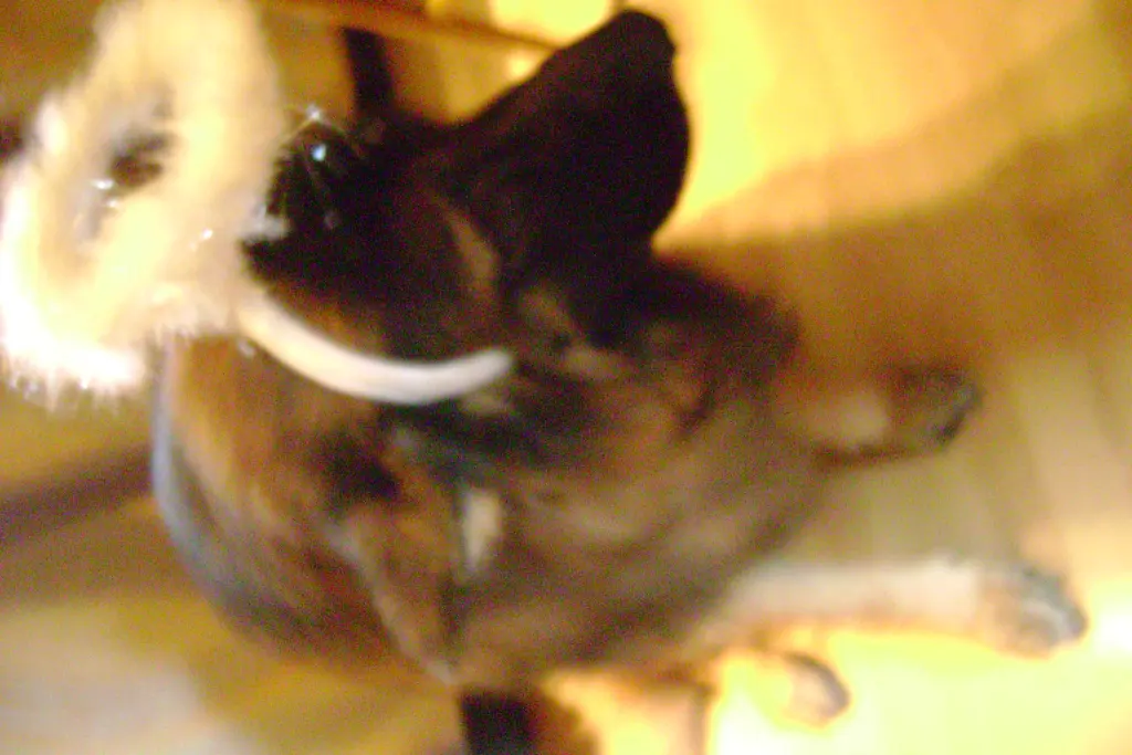 Condolence image of Ulle 