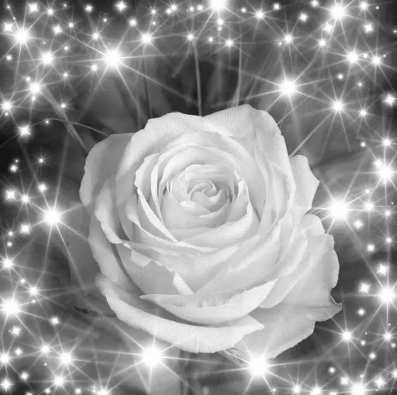 Condolence image of Karin