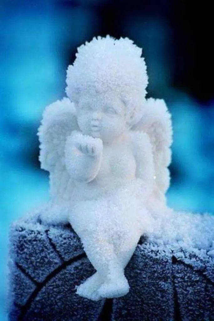 Condolence image of Karin