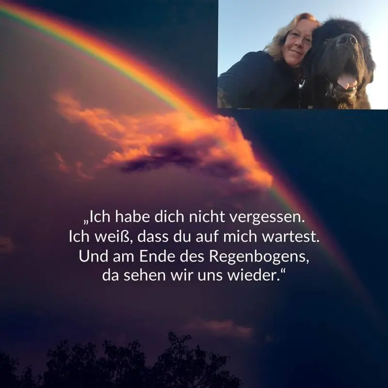 Condolence image of Karin