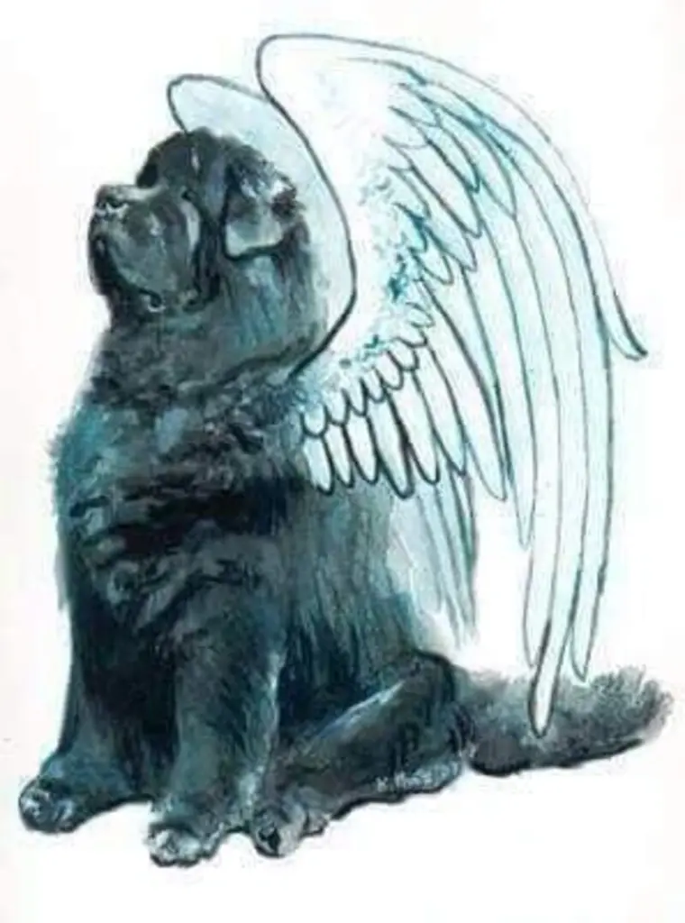 Condolence image of Karin