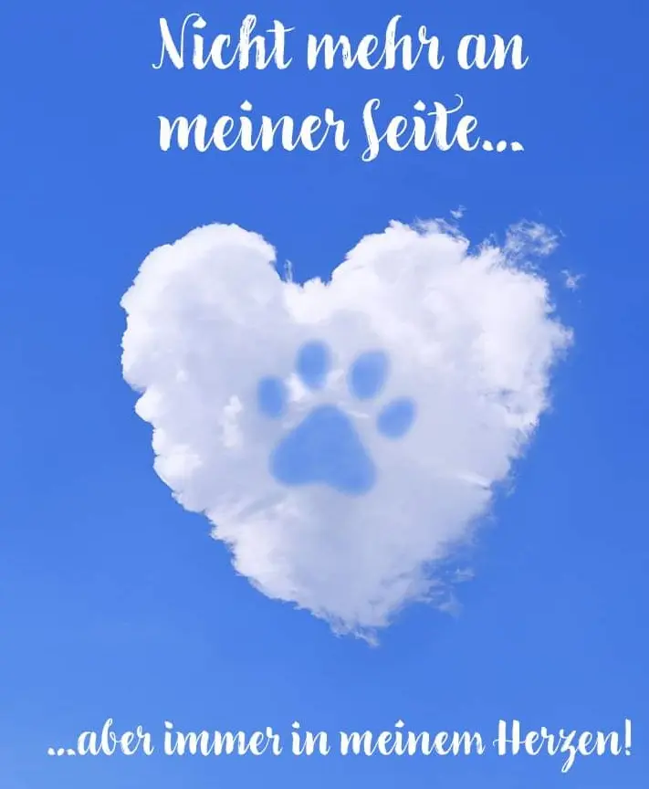 Condolence image of Karin