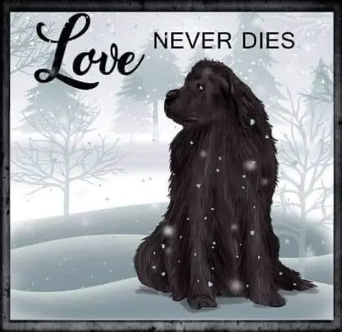 Condolence image of Karin